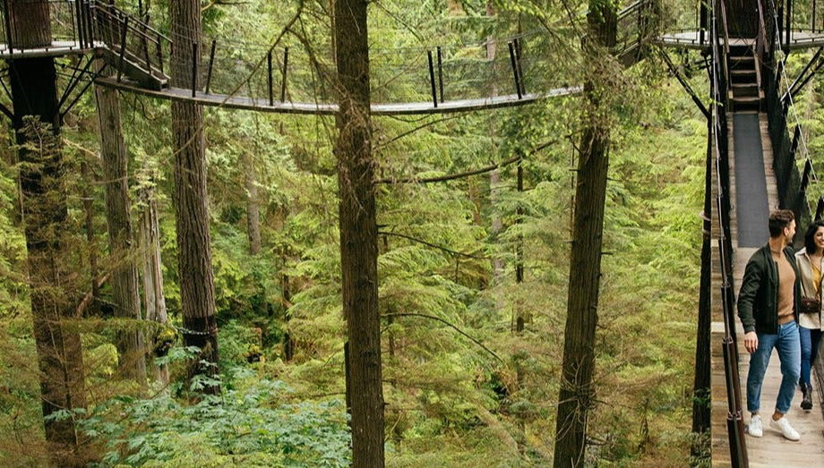 Billet pour le Capilano Suspension Bridge Park