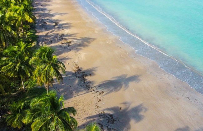 Tour pela Praia de Ipioca - Foto 8