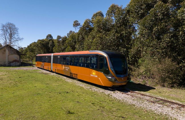 Pampa Train Ride + Almadén Winery Tour - Photo 6