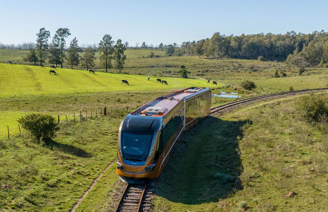 Pampa Train Ride + Almadén Winery Tour - Photo 7