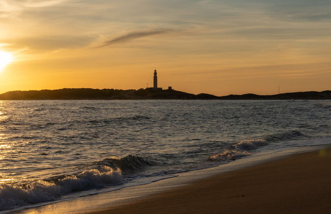 Paseo en barco al atardecer por el Cabo de Trafalgar - Foto 6