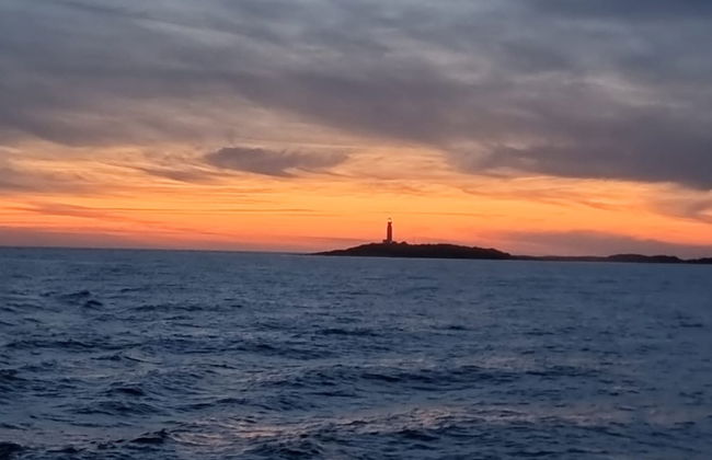 Paseo en barco al atardecer por el Cabo de Trafalgar - Foto 5