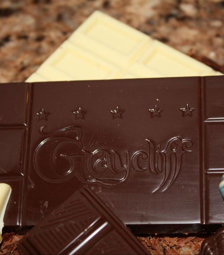 Foto de Visita a la fábrica de chocolate Graycliff