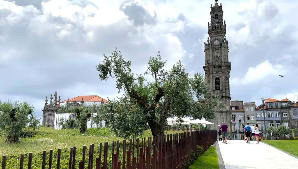 Visita guiada por Oporto - Photo 1