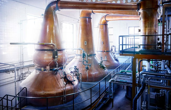 Visita alla distilleria DYC - Foto 3