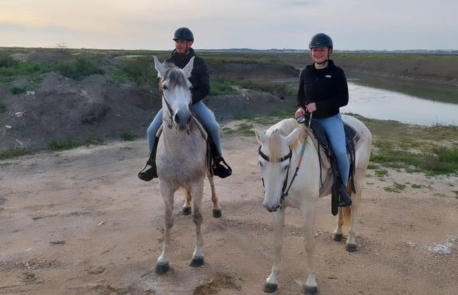 Paseo a caballo por las marismas del Coto de la Isleta - Foto 3