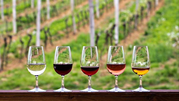 Tour de viñedos y bodegas por el valle de Hunter - Foto 3