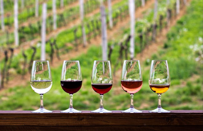 Tour de viñedos y bodegas por el valle de Hunter - Foto 3