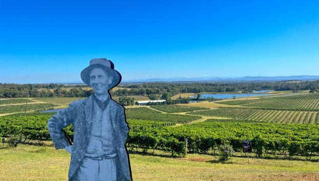 Tour de viñedos y bodegas por el valle de Hunter - Foto 5