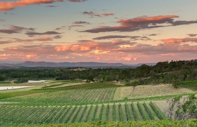 Tour de viñedos y bodegas por el valle de Hunter - Foto 8