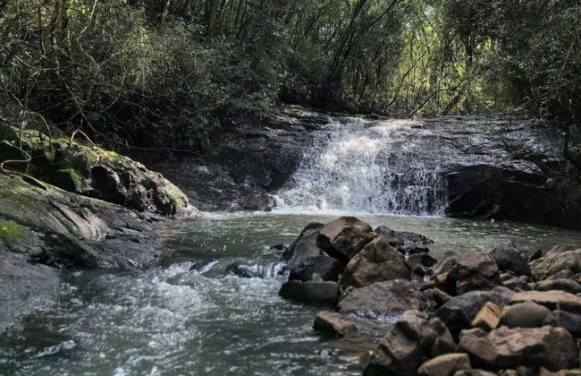 Excursão a Alto Feliz - Foto 5