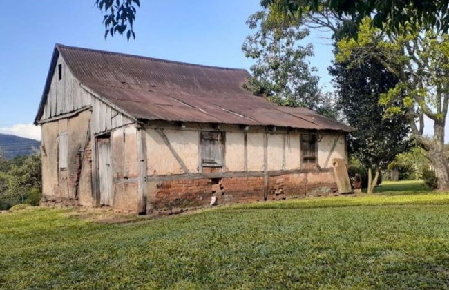Excursão a Alto Feliz - Foto 4
