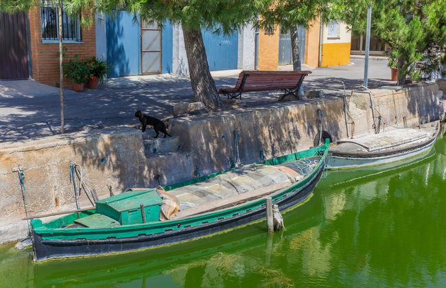 Albufera Natural Park Boat Ride - Photo 1