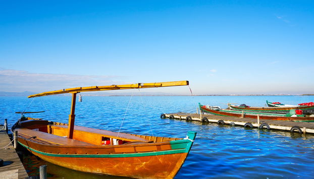 Balade en bateau sur l'Albufera - Photo 5