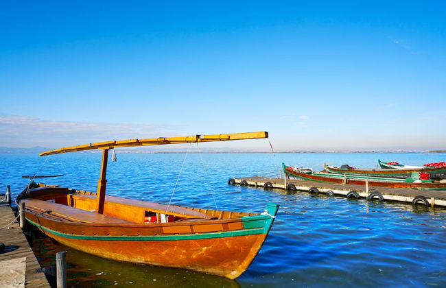 Albufera Natural Park Boat Ride - Photo 5
