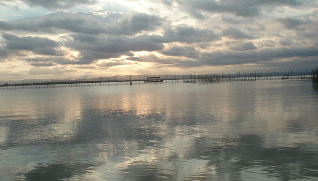 Balade en bateau sur l'Albufera - Photo 2