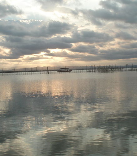Bild - Paseo en barca por la Albufera
