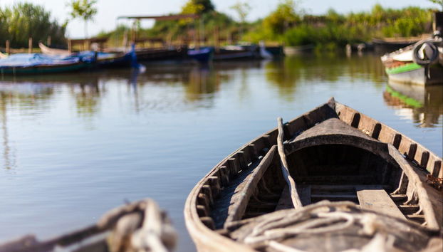 Balade en bateau sur l'Albufera - Photo 3