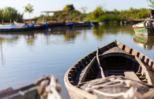 Albufera Natural Park Boat Ride - Photo 3