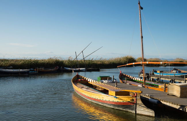 Paseo en barca por la Albufera - Foto 2