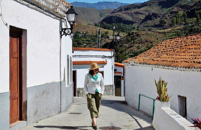 Maspalomas, Tejeda and Santa Brígida Tour - Photo 2