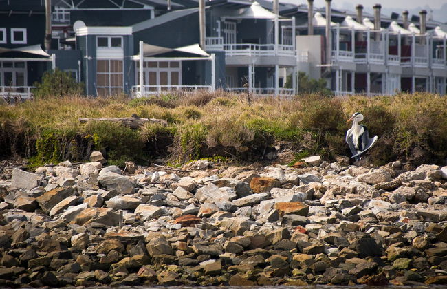 Paseo en barco por Knysna Heads - Foto 4