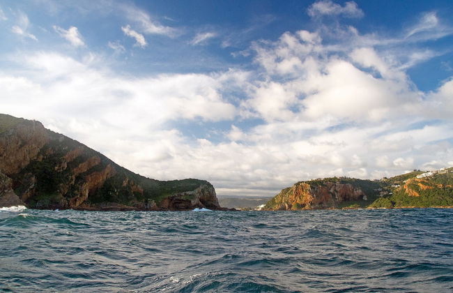 Paseo en barco por Knysna Heads - Foto 5