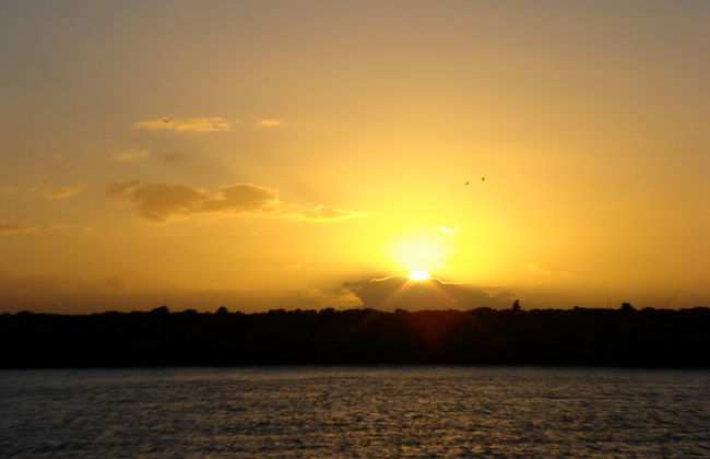 Paseo en catamarán al atardecer - Foto 3