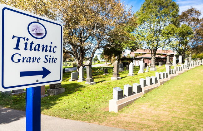 Autobus turistico di Halifax - Foto 6