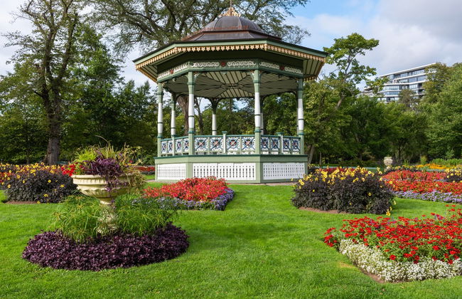 Autobus turistico di Halifax - Foto 2