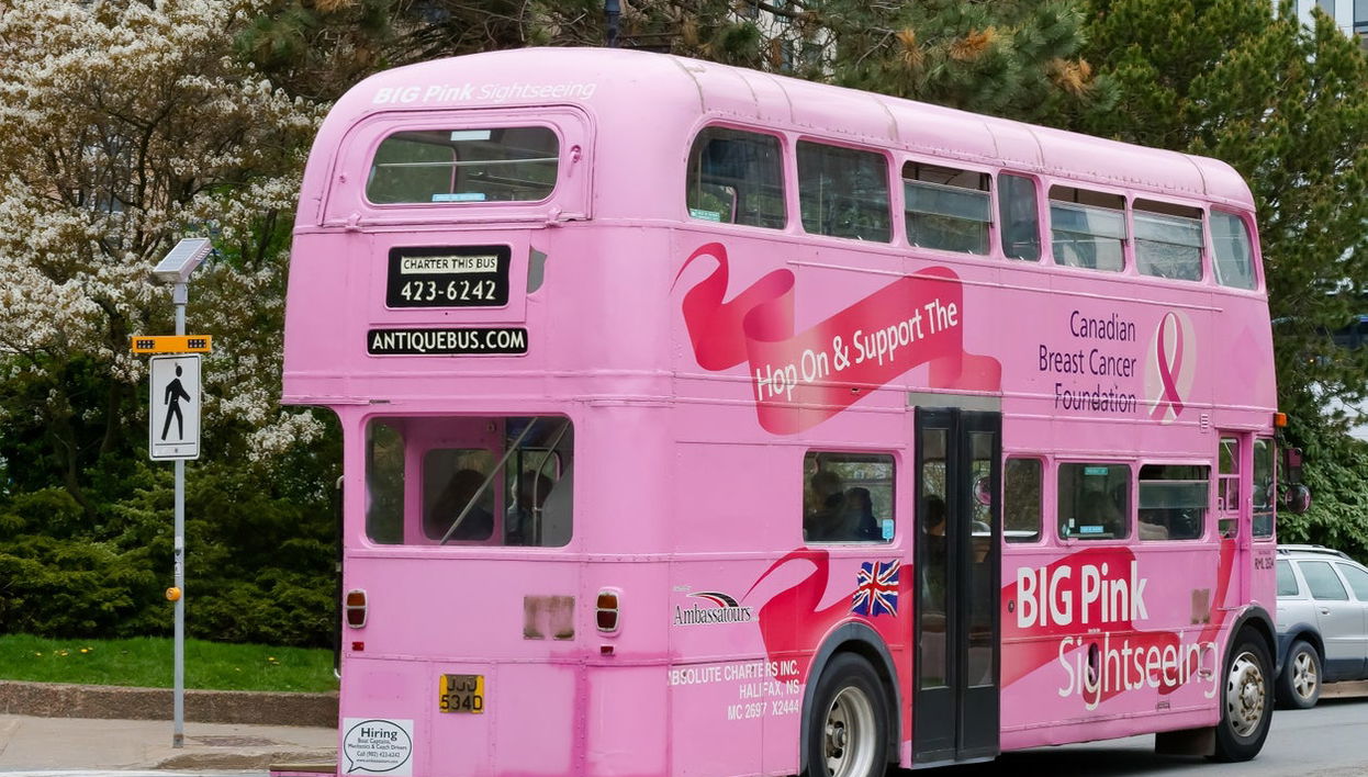 Ônibus turístico de Halifax - Foto 1
