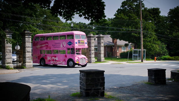 Ônibus turístico de Halifax - Foto 4