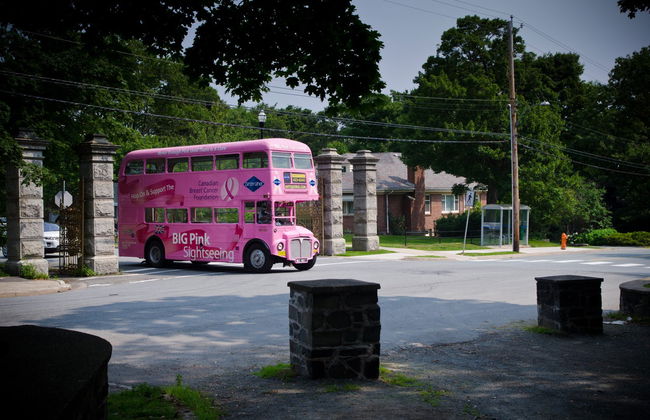 Autobús turístico de Halifax - Foto 4