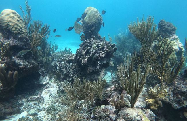 Paseo en velero por Tulum - Foto 6