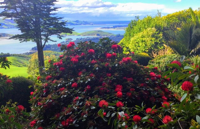 Visite du château de Larnach - Photo 2