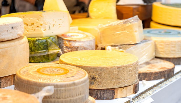 Degustazione di formaggi a Verona - Foto 3