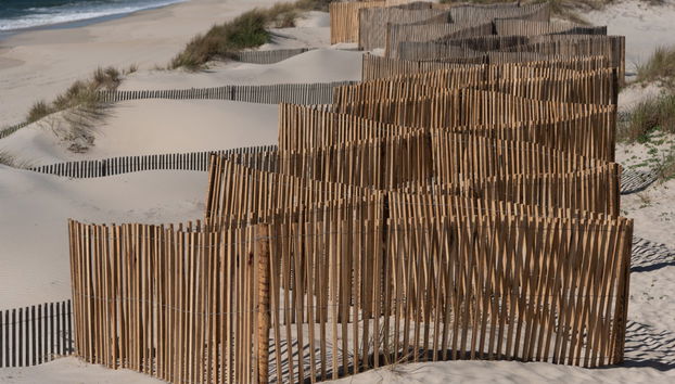 Aveiro Beaches Tour - Photo 5