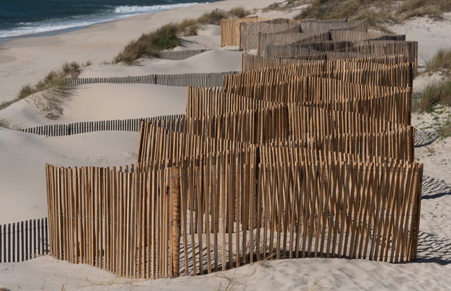 Aveiro Beaches Tour - Foto 5