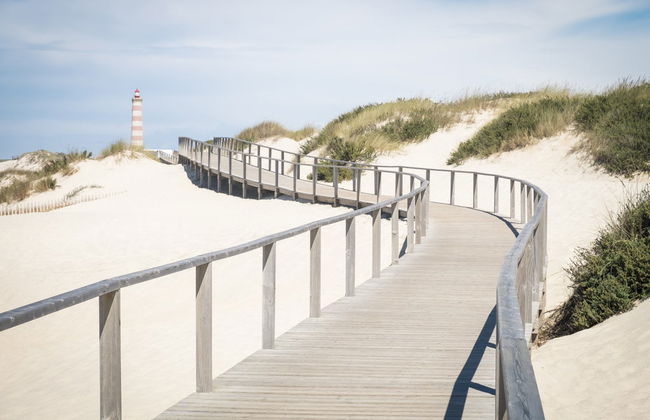 Aveiro Beaches Tour - Foto 1