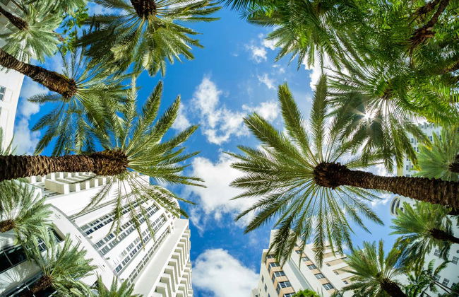 Excursión privada a Miami - Foto 1