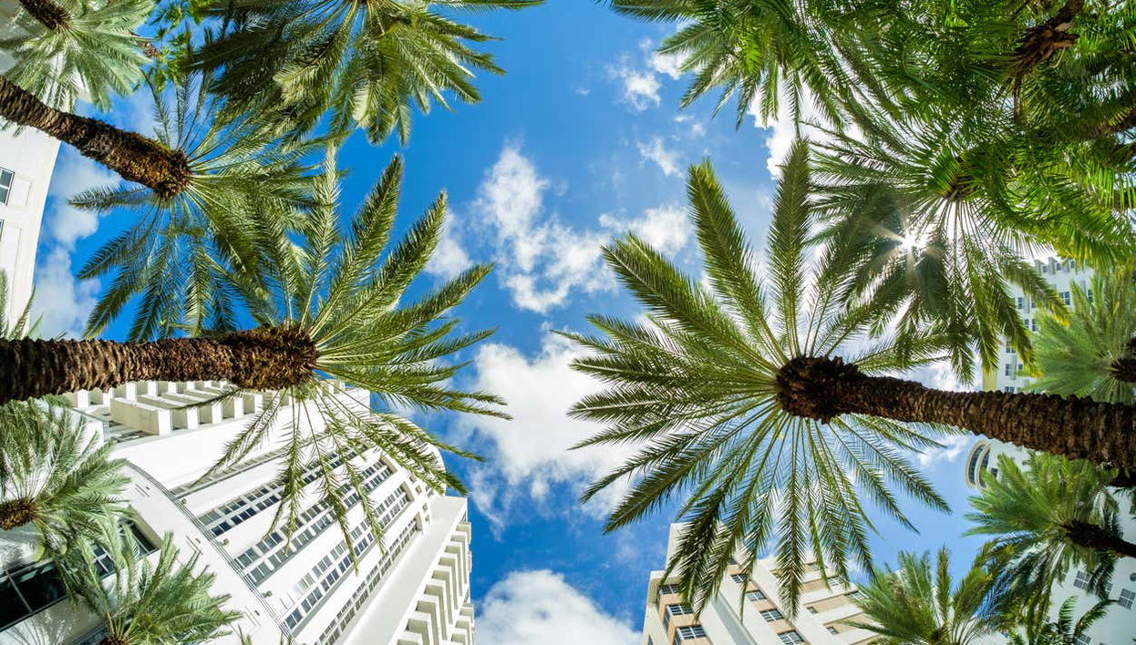 Escursione privata a Miami - Foto 1