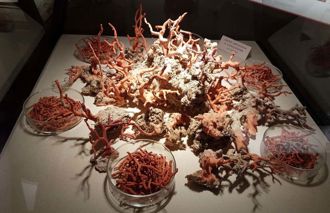 Tour serale di Alghero + Museo del Corallo - Foto 3
