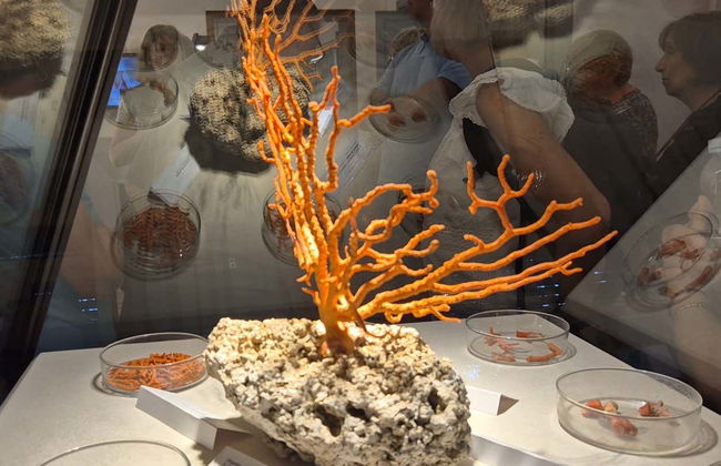 Tour serale di Alghero + Museo del Corallo - Foto 4