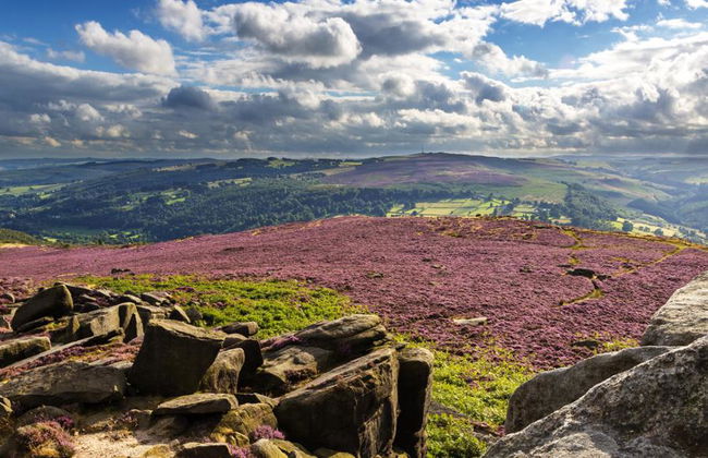 Perdido en la belleza: Chatsworth y Peak District - Excursión en grupo pequeño - Foto 2