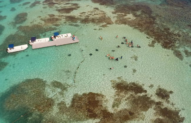 Avistamento de arraias em Stingray City Antigua - Foto 1