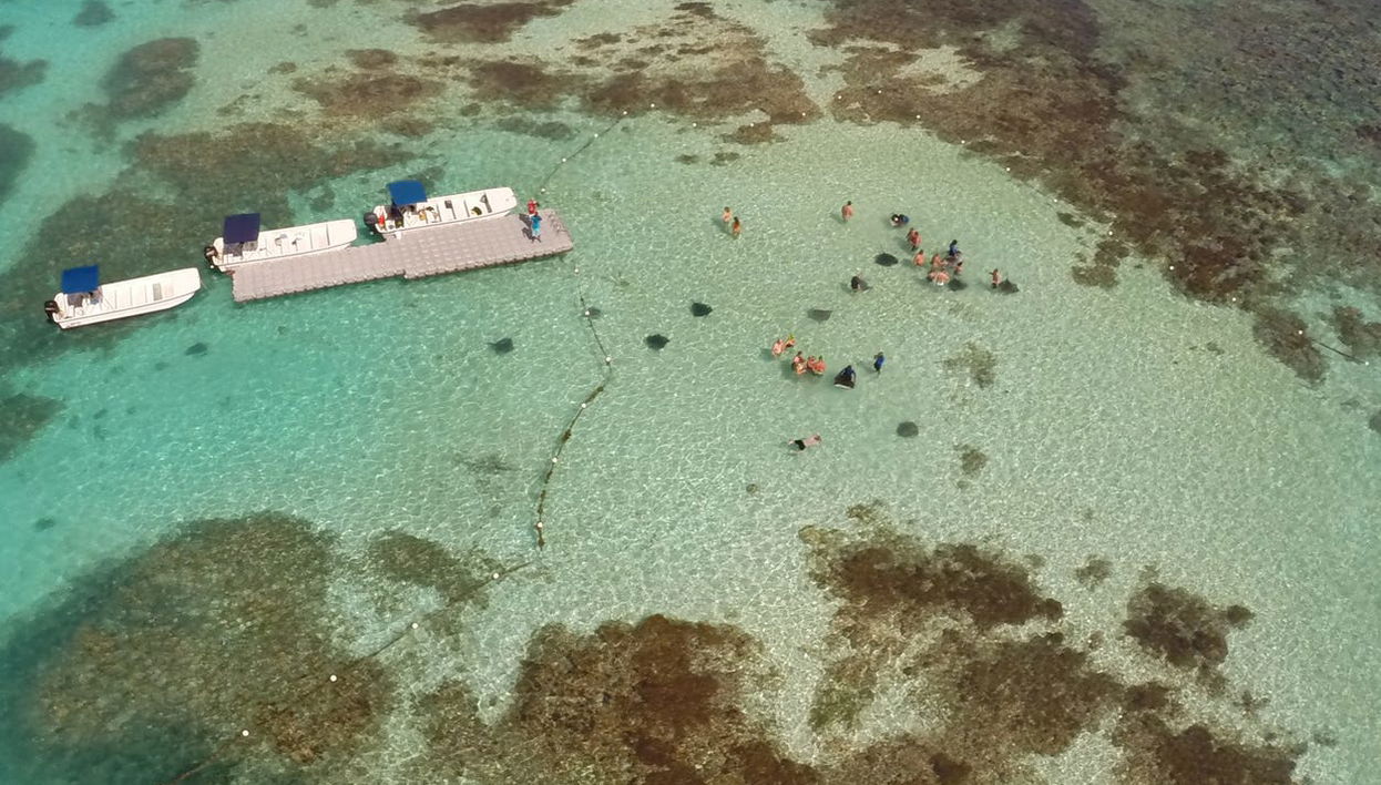 Avistamento de arraias em Stingray City Antigua - Foto 1