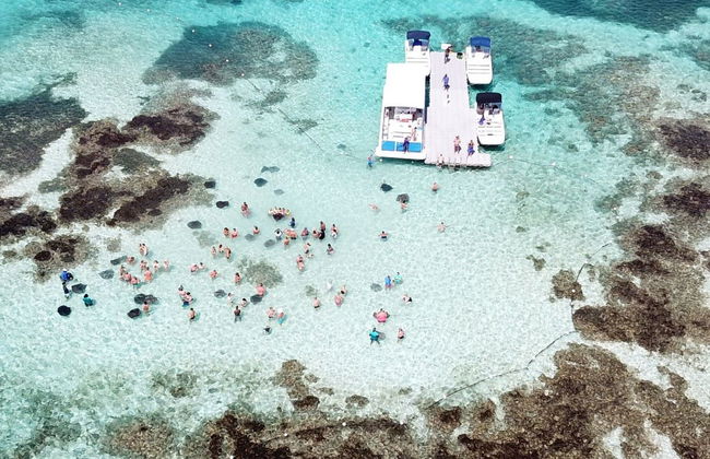 Avistamento de arraias em Stingray City Antigua - Foto 6