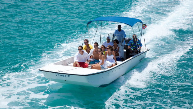 Avistamento de arraias em Stingray City Antigua - Foto 5