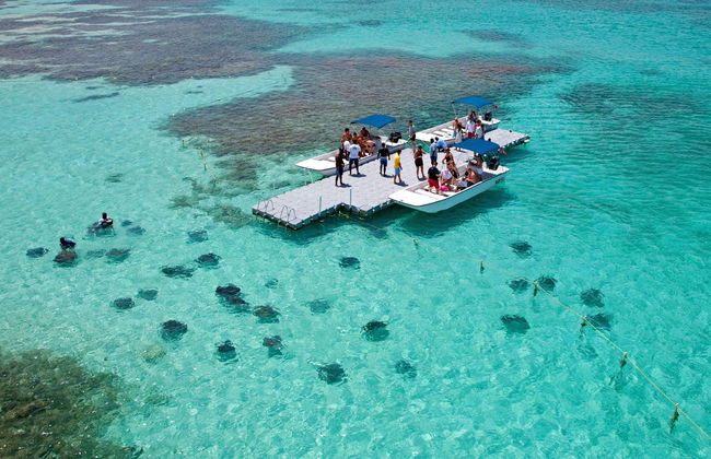 Avistamento de arraias em Stingray City Antigua - Foto 4