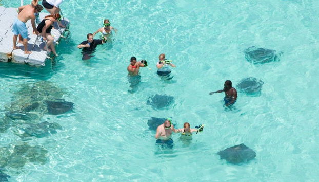 Avistamento de arraias em Stingray City Antigua - Foto 3